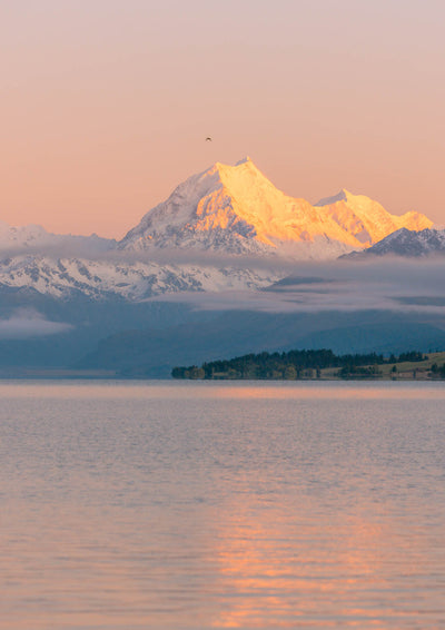 Lake Pukaki, New Zealand - Portrait