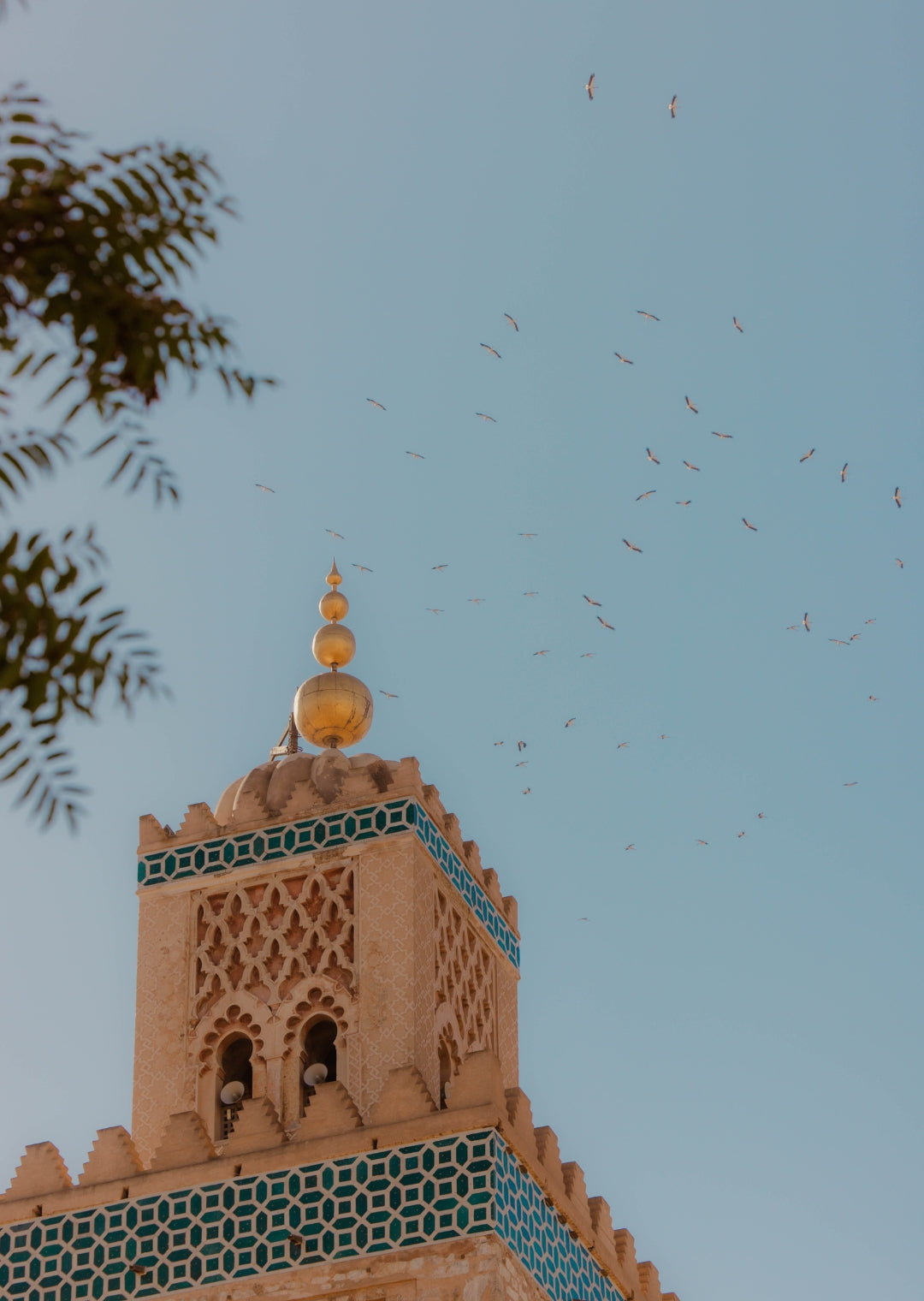9 Days Exploring Morocco