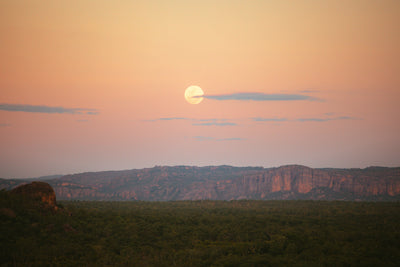 Kakadu Magic