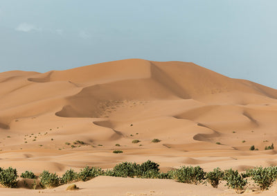 Zagora Dunes