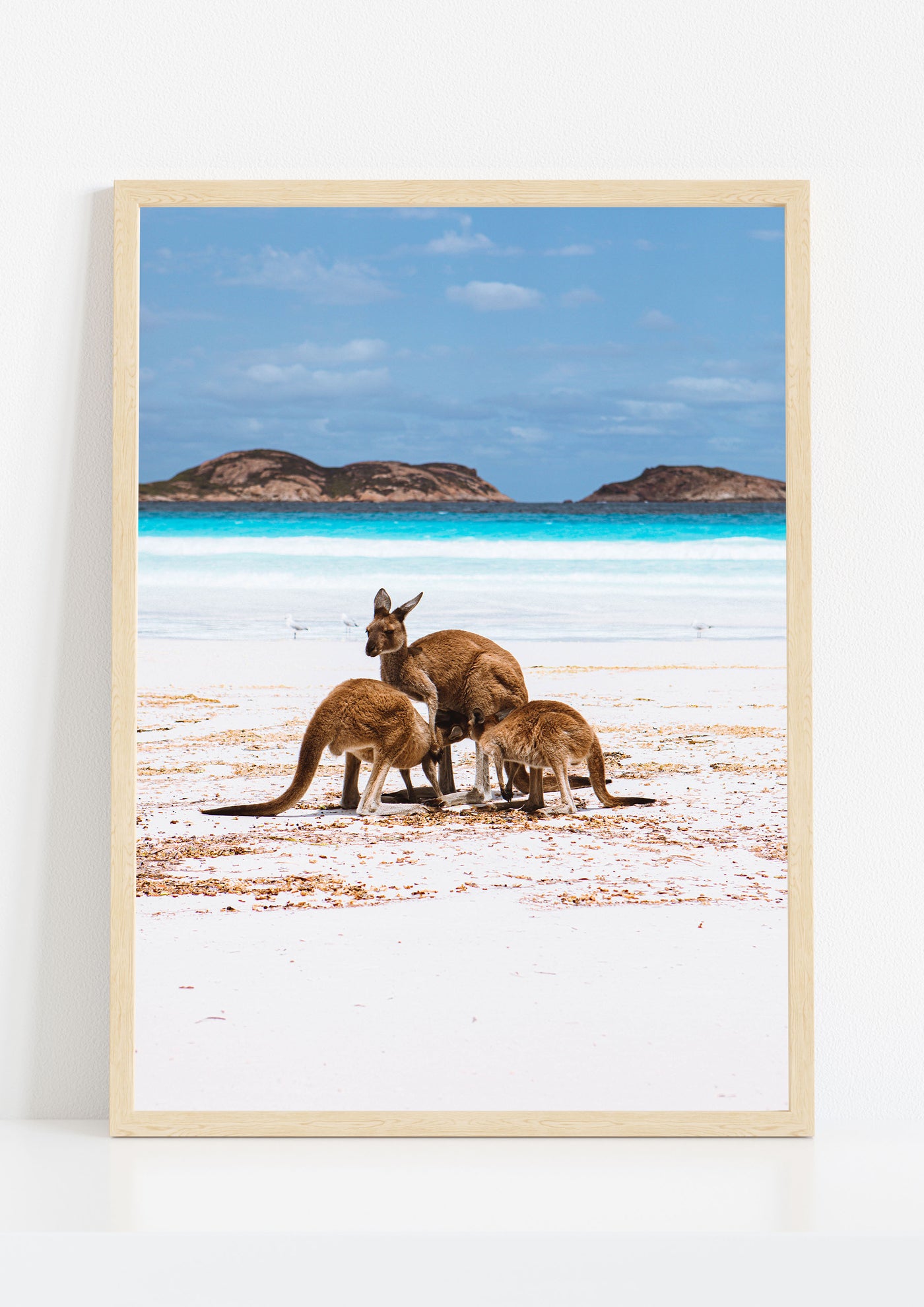 Lucky Bay, Esperance