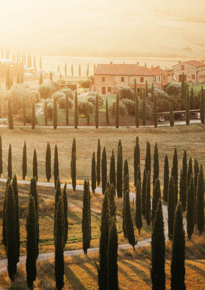 Tuscany Glow, Italy